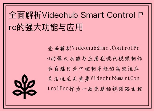 全面解析Videohub Smart Control Pro的强大功能与应用